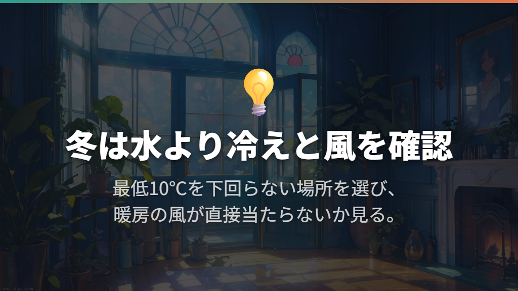 冬は水を増やす前に、窓辺の冷えと暖房の風を見直す