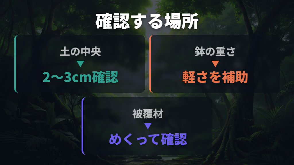 水やりのタイミングは日数より鉢の中の乾きで判断する