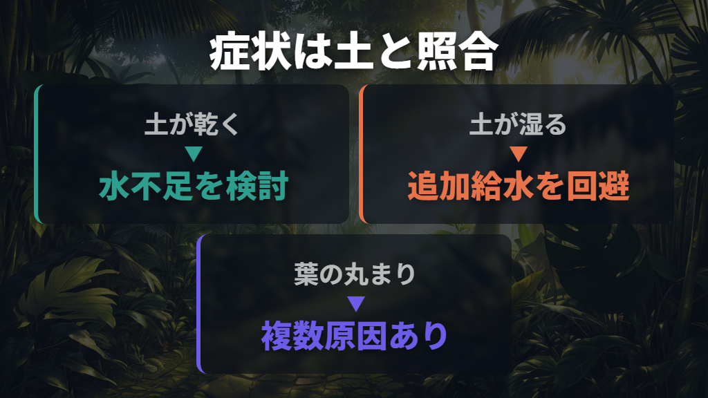 葉の変化だけで水不足か過湿かを決めつけない