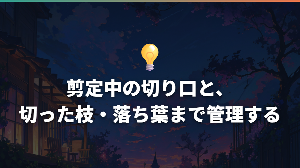 剪定中の切り口と、切った枝・落ち葉まで管理する