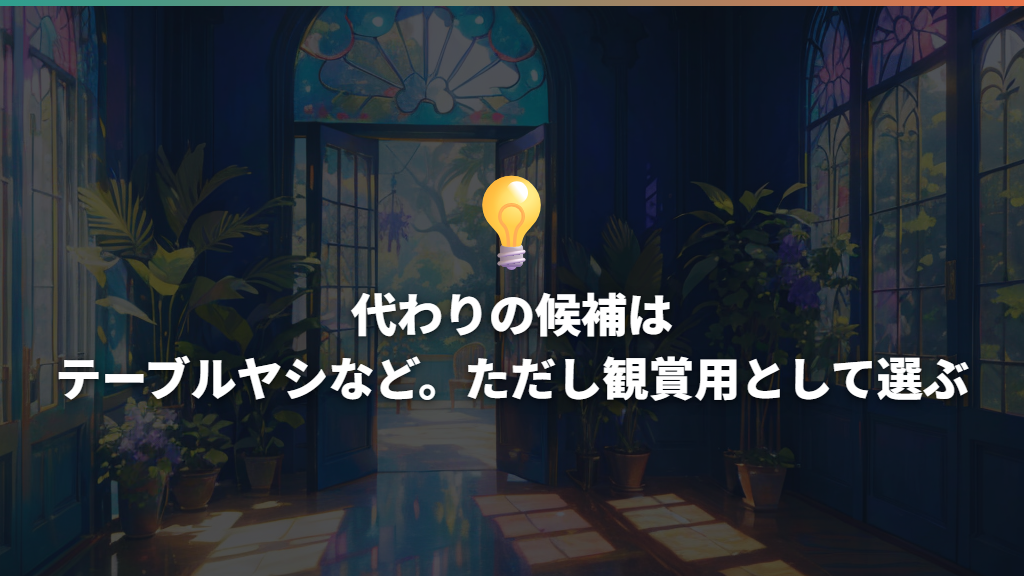 代わりの候補はテーブルヤシなど。ただし観賞用として選ぶ