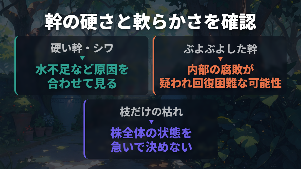 葉が全部落ちても復活する?幹の傷みから見極める