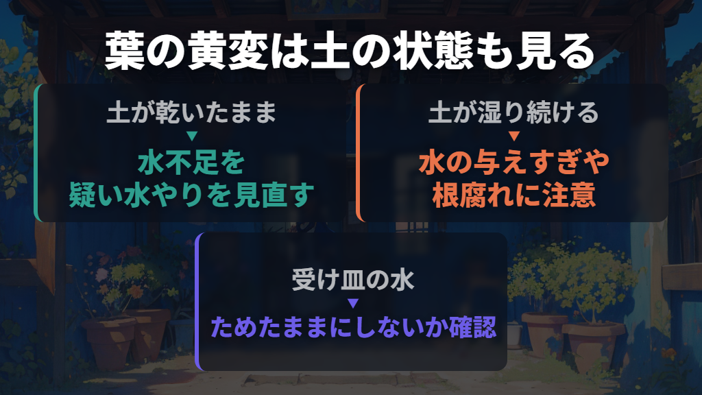 水不足と根腐れは、これまでの水やりと土の状態で分ける