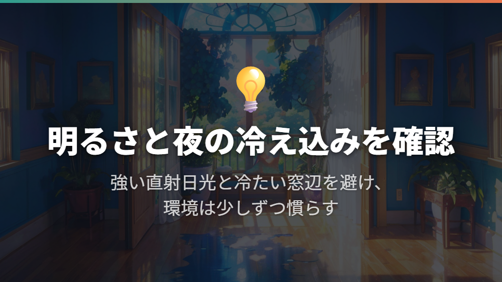 明るさを確保し、強い直射日光と夜の冷え込みを避ける