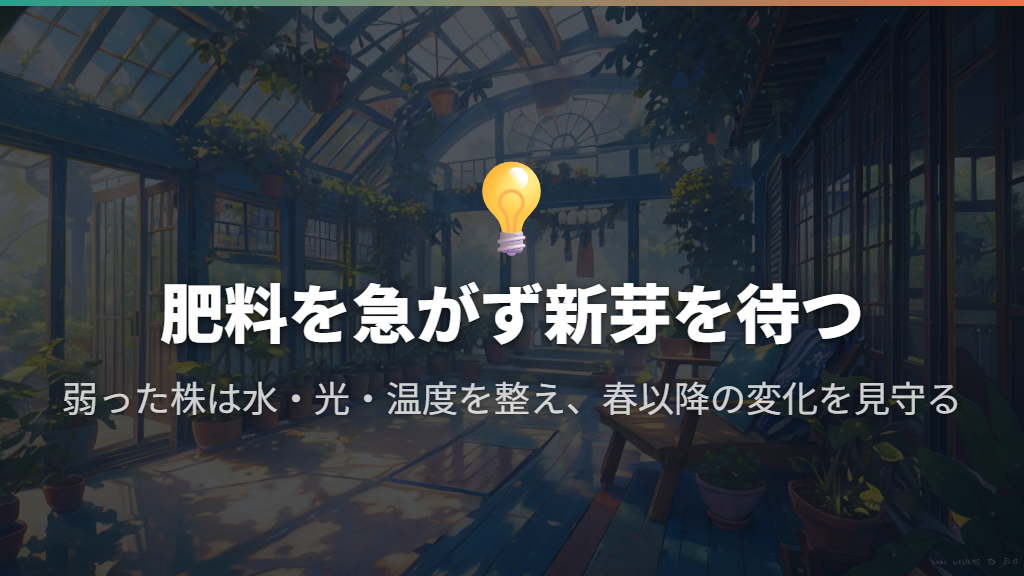 肥料を急いで足さず、春以降の新芽を待つ