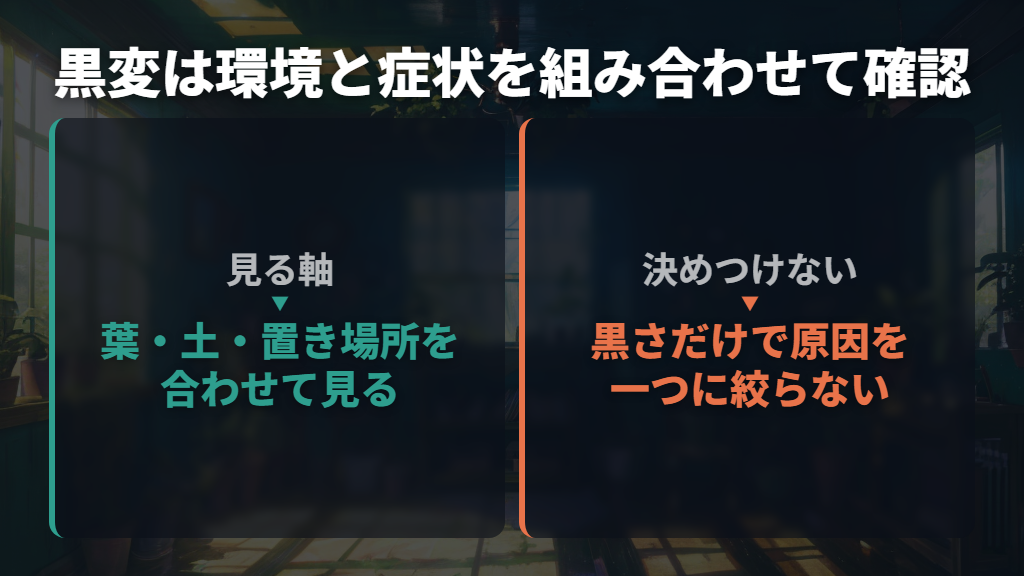 最初に葉・土・置き場所を合わせて見る