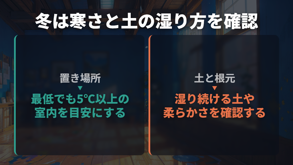 冬の黒変は寒さと土の湿り方を確認する