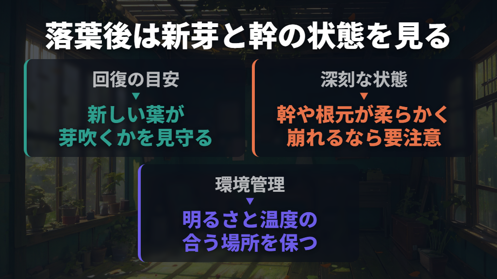 葉が落ちたあとは新芽と幹の状態を見る