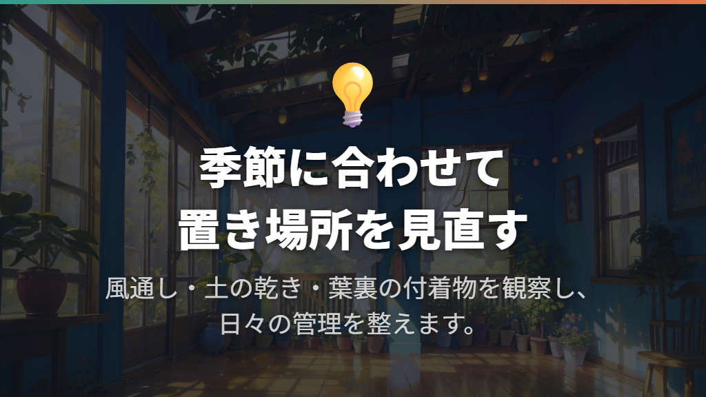 風通し・水やり・葉の観察で日々の管理を整える