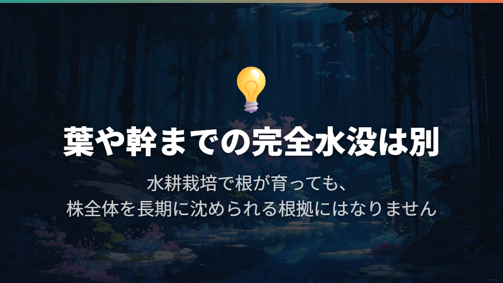 完全水没での長期栽培は勧められない