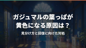 ガジュマルの葉っぱが黄色になる原因は?見分け方と回復に向けた対処