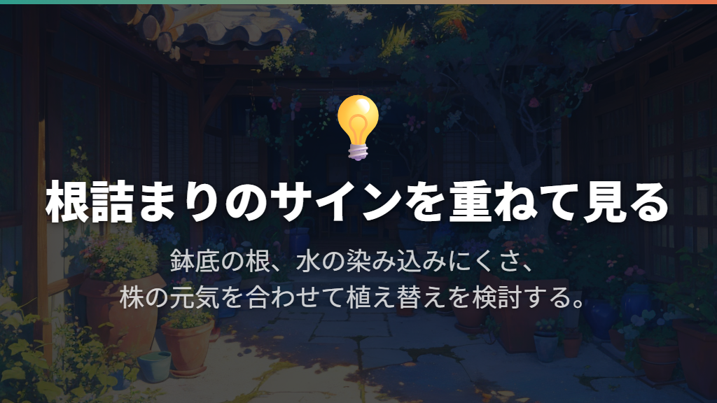 根詰まりのサインがあれば、植え替えを検討する