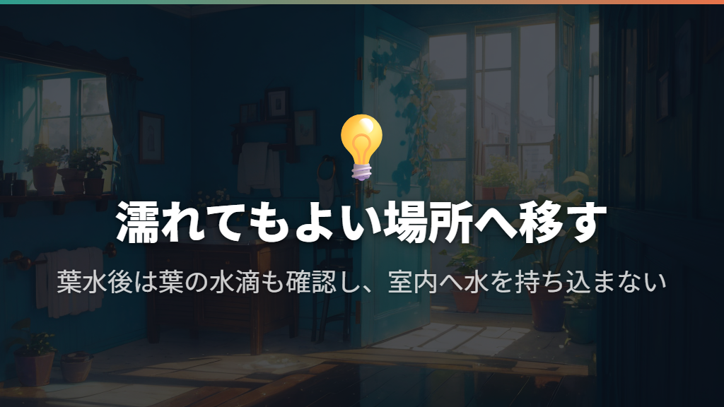 移動できる鉢は浴室など濡れてもよい場所で