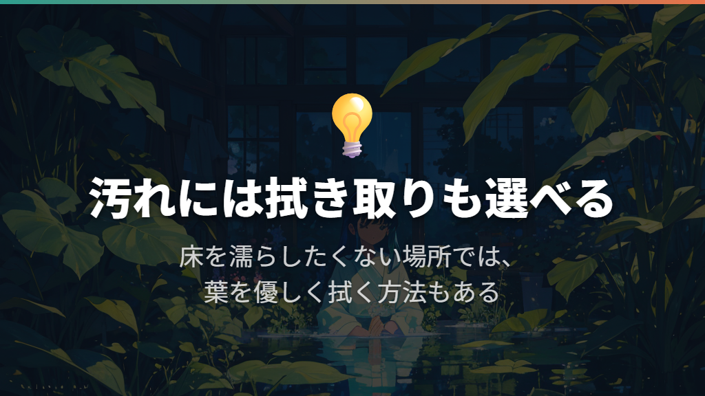 葉のほこりを落としたいなら拭き取りも選べる