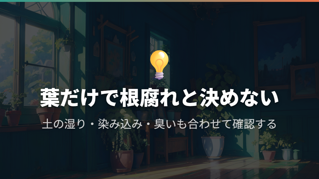 葉の黄変やしおれは、土の状態とセットで判断する