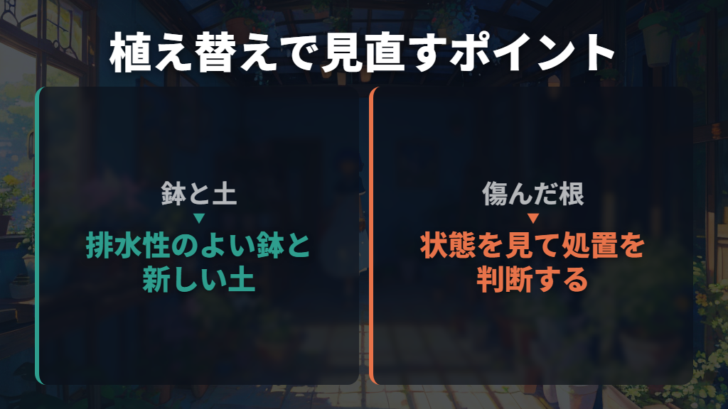 排水が悪い・根が傷んでいるなら植え替えを考える