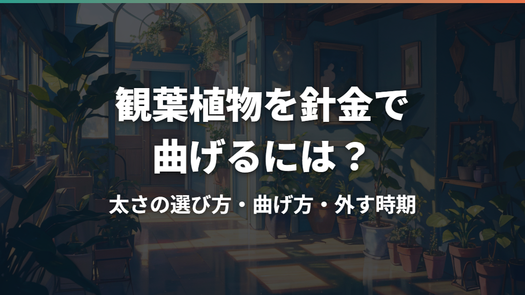 観葉植物を針金で曲げるには?太さの選び方・曲げ方・外す時期