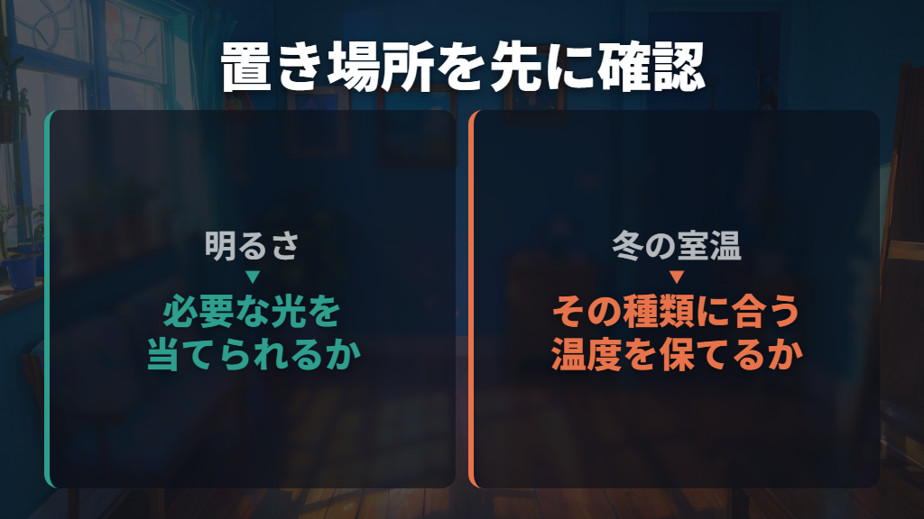 飾りたい場所の日当たりや冬の室温が合わない