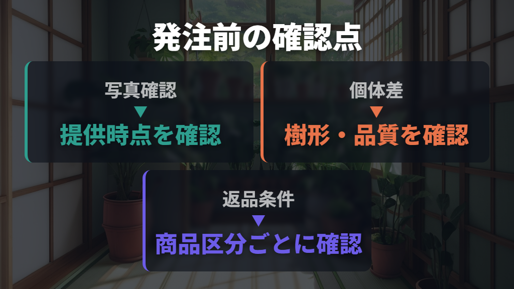 写真・樹形・返品条件まで確認して発注する