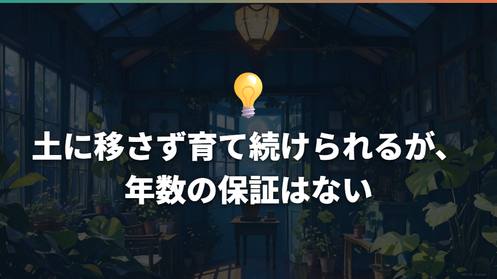 土に移さず育て続けられるが、年数の保証はない