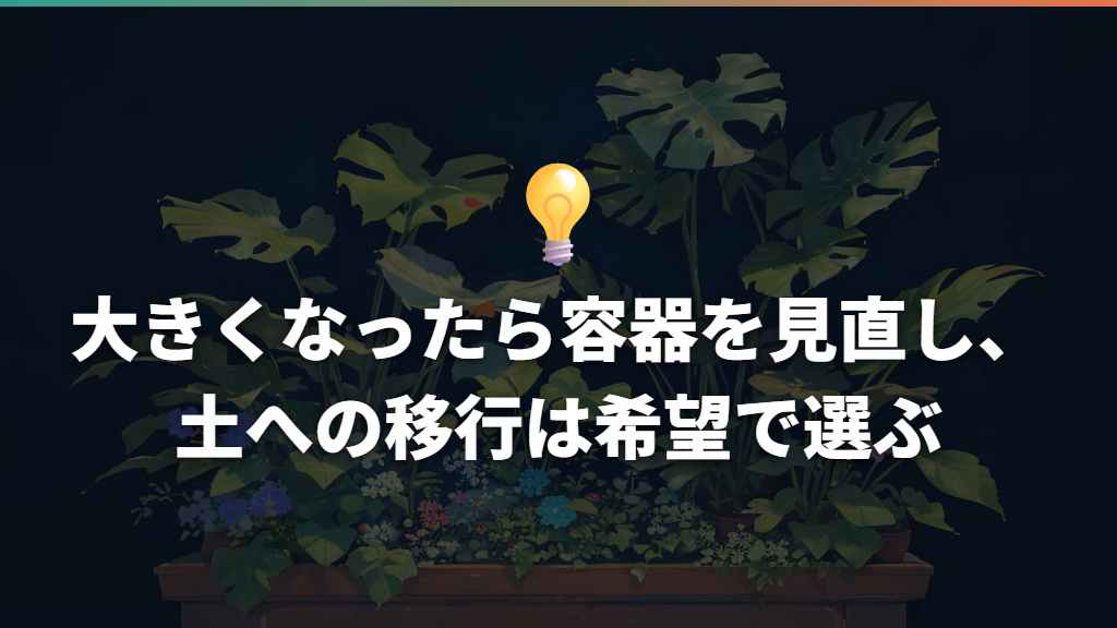大きくなったら容器を見直し、土への移行は希望で選ぶ