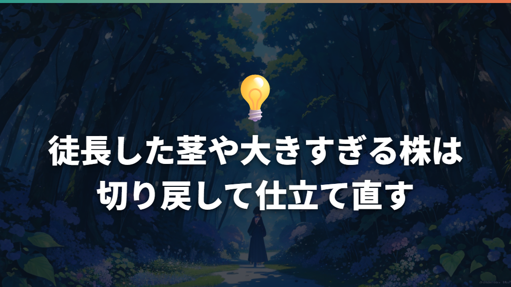 徒長した茎や大きすぎる株は切り戻して仕立て直す