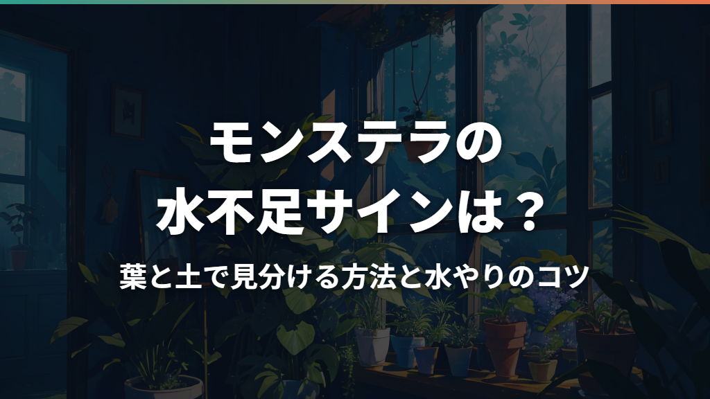 モンステラの水不足サインは？葉と土で見分ける方法と水やりのコツ