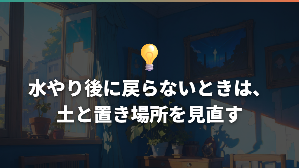 水やり後に戻らないときは、土と置き場所を見直す