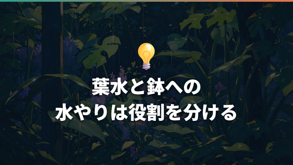 葉水と鉢への水やりは役割を分ける