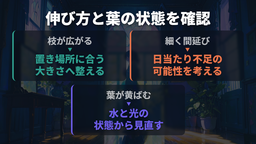 大きく育ったのか、ひょろひょろに伸びたのかを確認