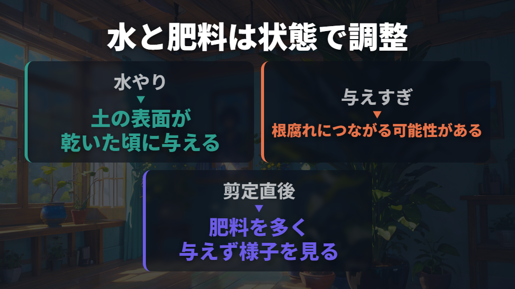 水やりは土の乾きで判断し、肥料を増やしすぎない