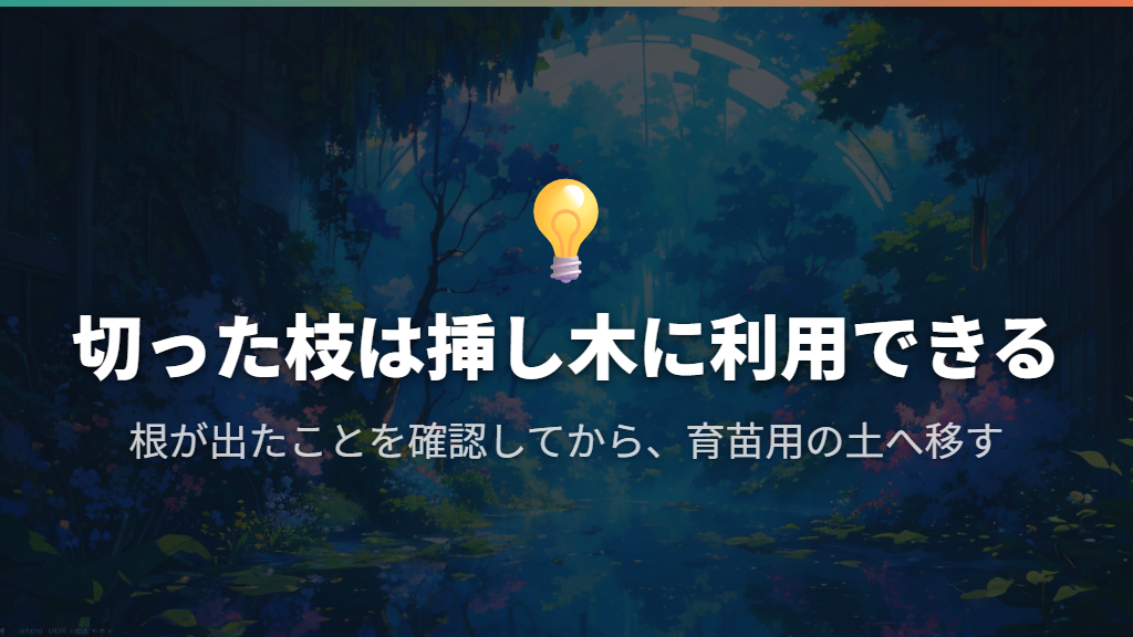切った枝を残したいなら、挿し木に利用できる