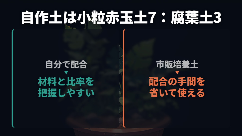 基本の配合は小粒の赤玉土7:腐葉土3