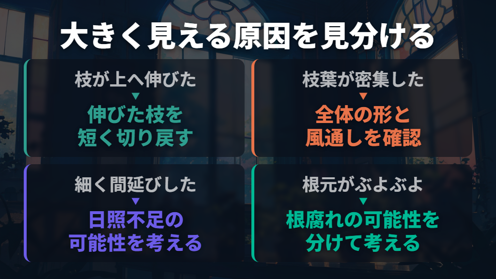 まずは高さ・枝の広がり・間延びを見分ける
