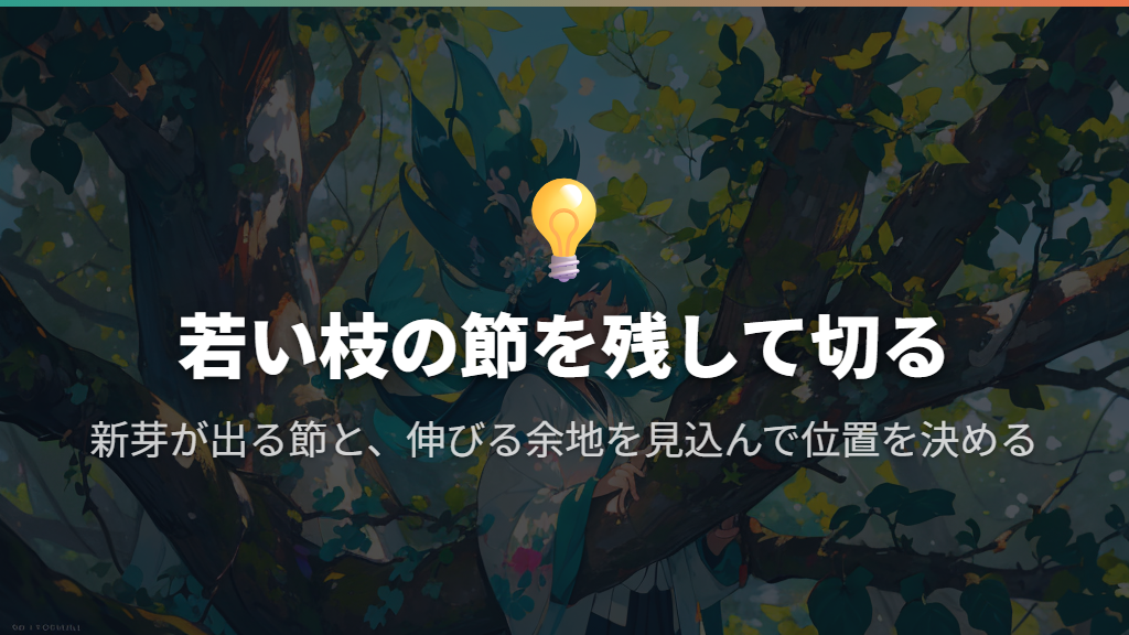 若い枝の節を残し、伸びる余地を考えて切る