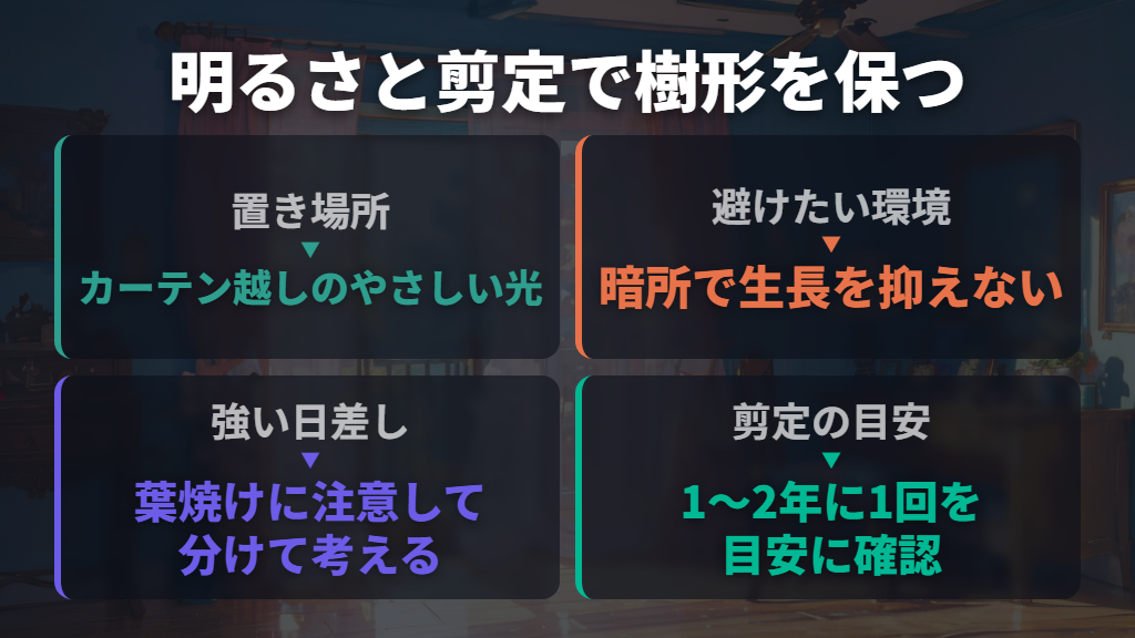 暗くして抑えず、明るさと定期的な剪定で保つ