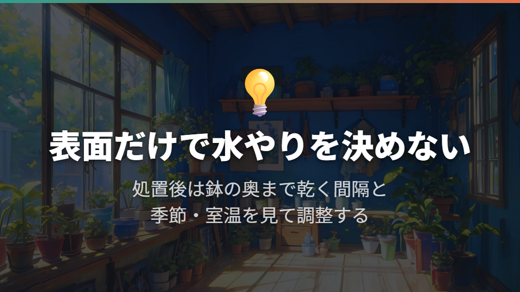 処置後は土の奥の乾きと季節に合わせて水やりする