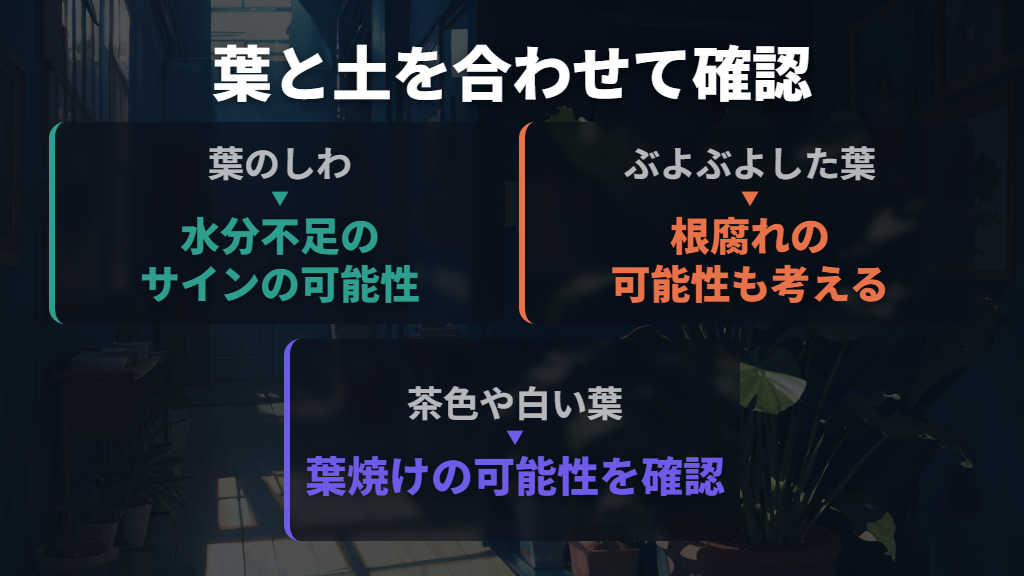 葉のしわとぶよぶよした軟らかさは、土の状態と合わせて見る