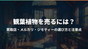観葉植物を売るには?買取店・メルカリ・ジモティーの選び方と注意点
