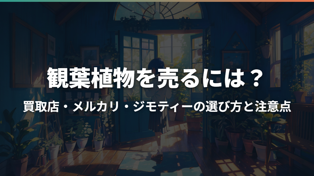 観葉植物を売るには？買取店・メルカリ・ジモティーの選び方と注意点