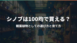 シノブは100均で買える?観葉植物としての選び方と育て方