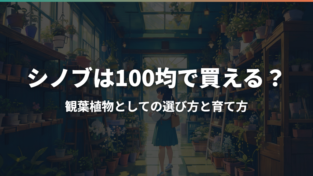 シノブは100均で買える？観葉植物としての選び方と育て方