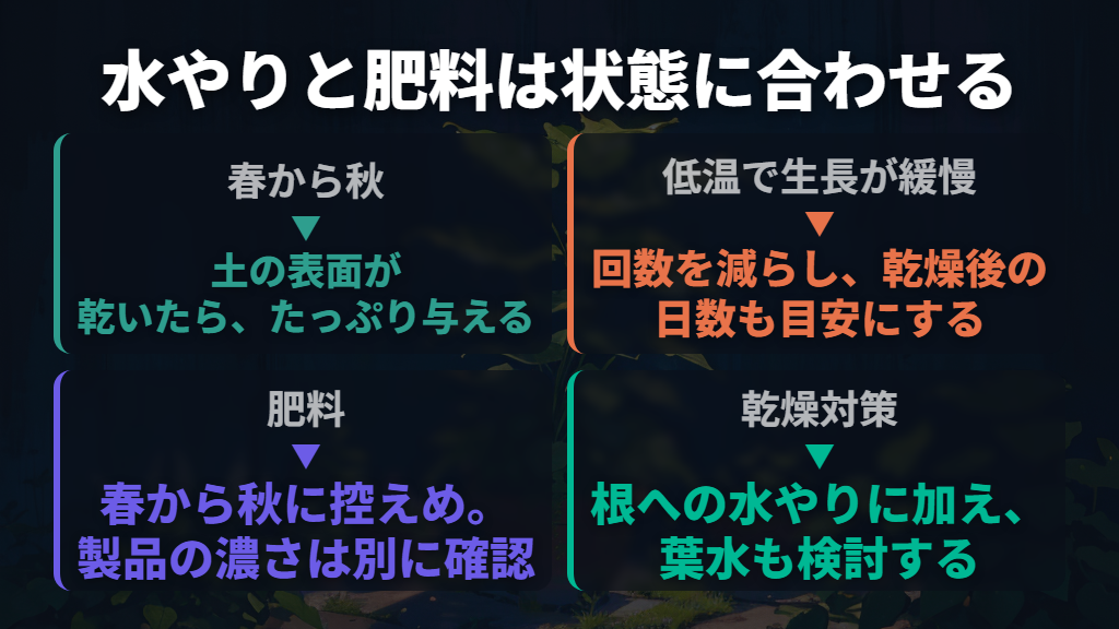 水やりは乾き方と気温で変え、肥料は控えめにする