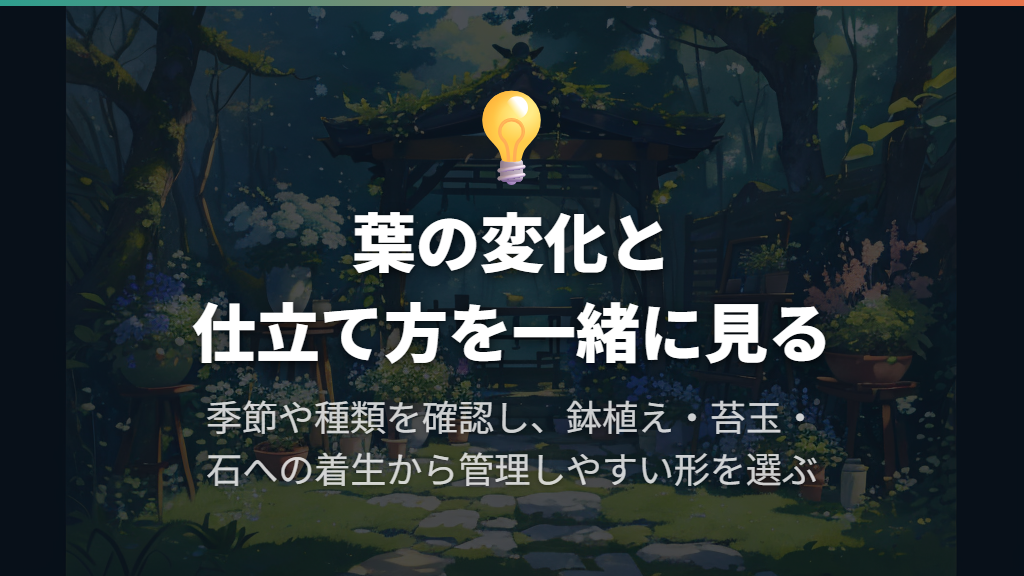 葉の変化を見ながら、苔玉や石への着生も楽しむ