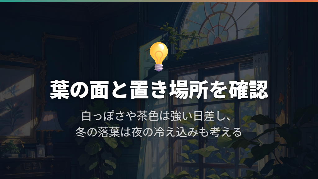 白っぽい変色は日差し、冬の落葉は冷え込みも疑う