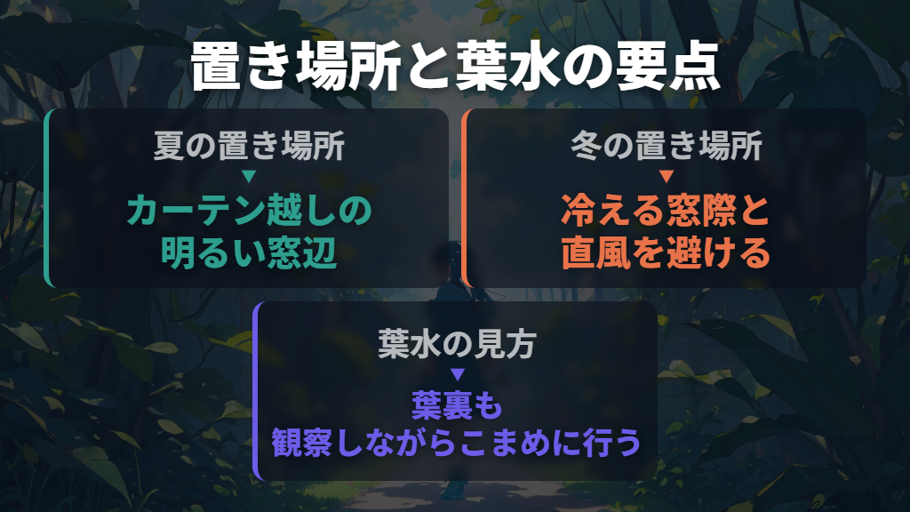明るさを保ち、直風を避けて葉水を取り入れる
