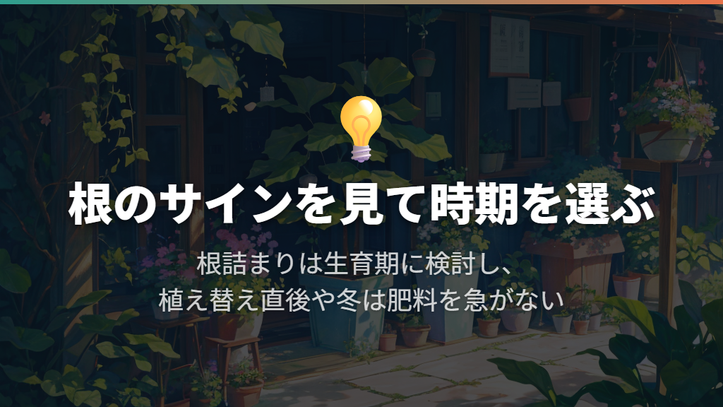 植え替えは根のサインで判断し、肥料を急いで足さない