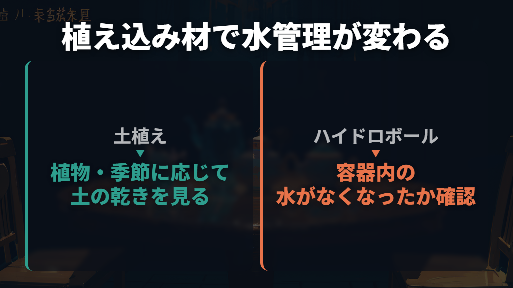 土を使いたくないなら、ハイドロカルチャーも候補