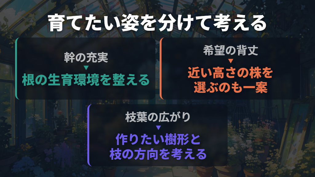 成長速度を急がず、幹・背丈・枝葉の目標を分ける