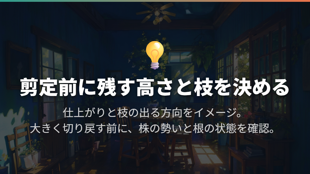 剪定は残す枝と仕上がりを決めてから行う